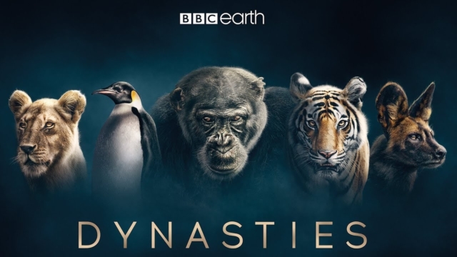 BBC Documentaries